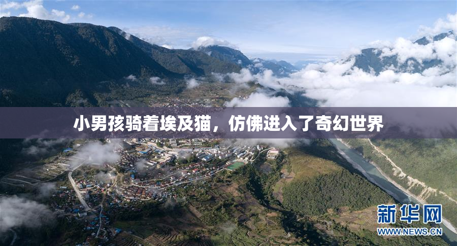 小男孩骑着埃及猫，仿佛进入了奇幻世界