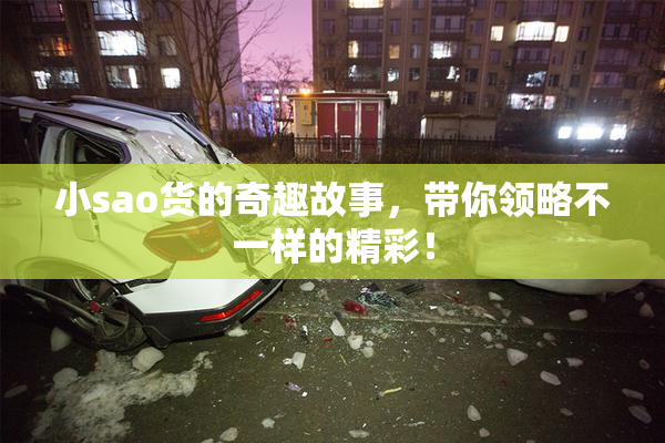 小sao货的奇趣故事，带你领略不一样的精彩！