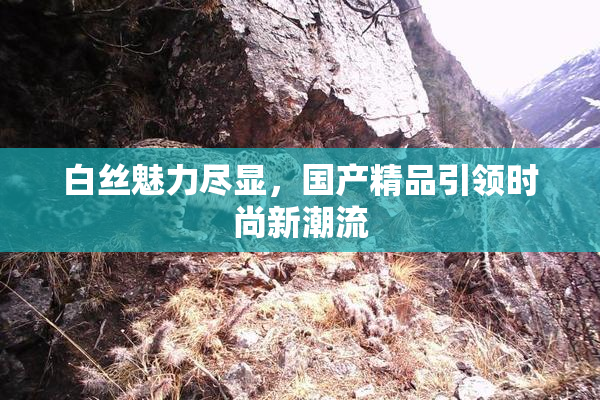 白丝魅力尽显，国产精品引领时尚新潮流