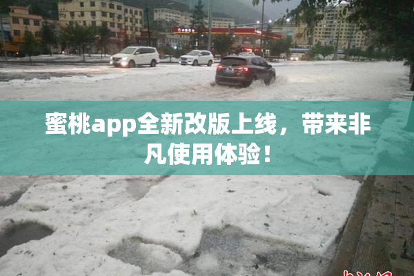 蜜桃app全新改版上线，带来非凡使用体验！