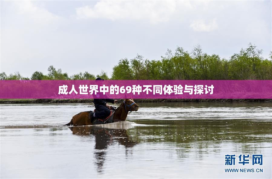 成人世界中的69种不同体验与探讨