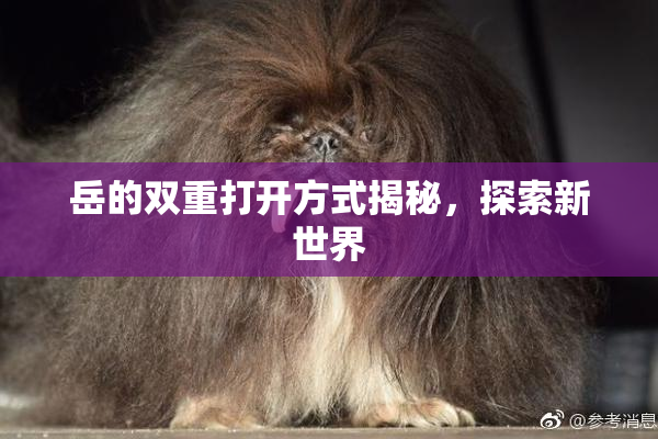 岳的双重打开方式揭秘，探索新世界