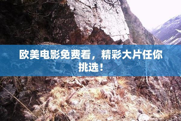欧美电影免费看，精彩大片任你挑选！