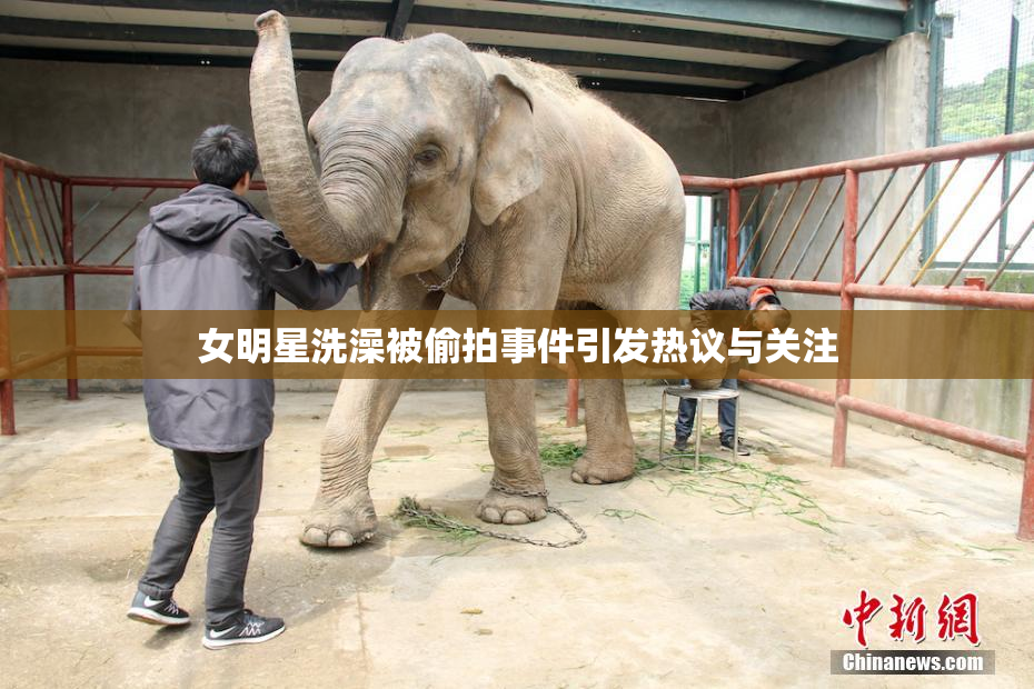 女明星洗澡被偷拍事件引发热议与关注