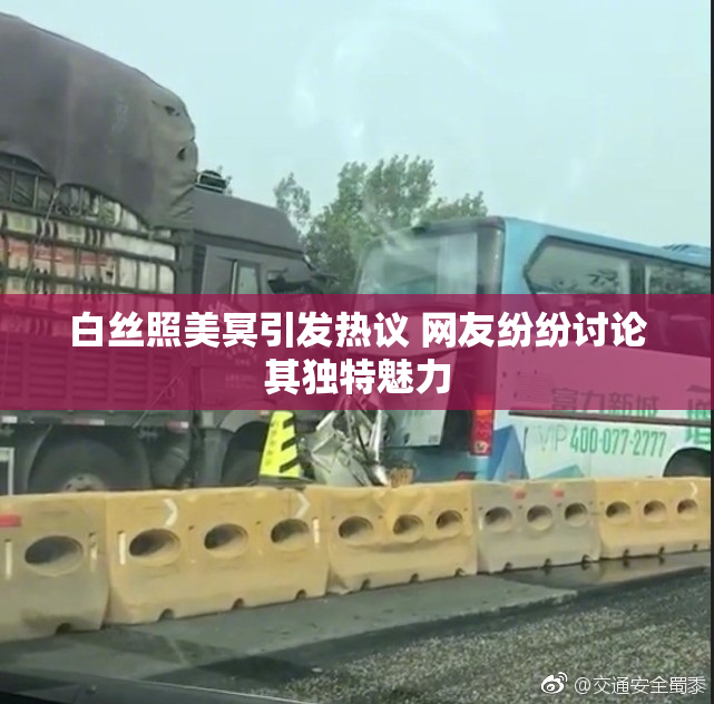 白丝照美冥引发热议 网友纷纷讨论其独特魅力