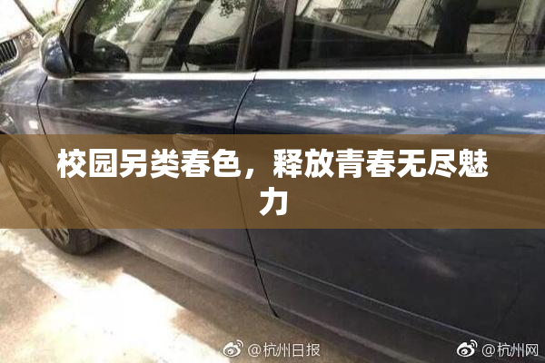 校园另类春色，释放青春无尽魅力