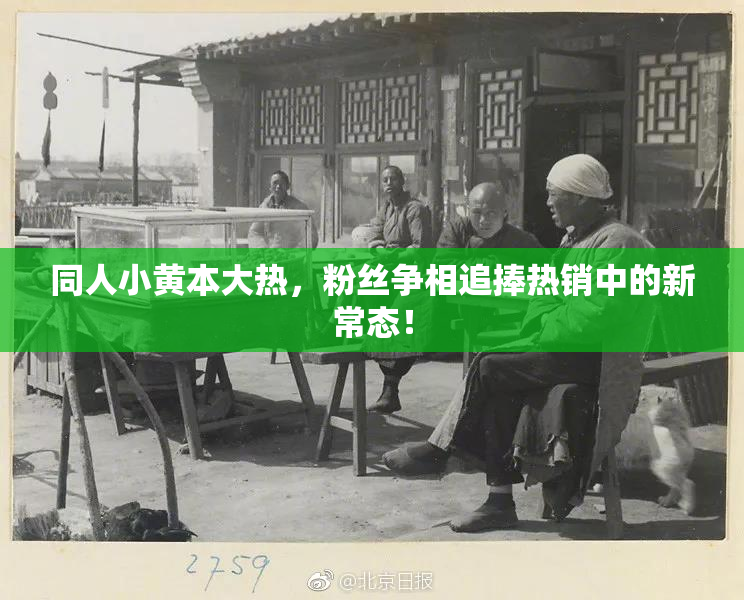 同人小黄本大热，粉丝争相追捧热销中的新常态！