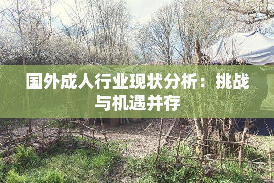 国外成人行业现状分析：挑战与机遇并存