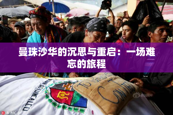 曼珠沙华的沉思与重启：一场难忘的旅程