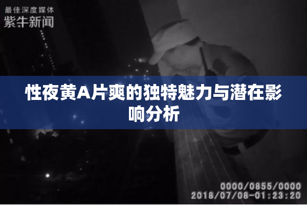 性夜黄A片爽的独特魅力与潜在影响分析