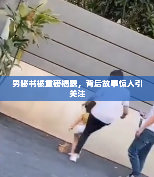男秘书被重磅揭露，背后故事惊人引关注