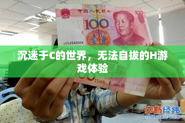 沉迷于C的世界，无法自拔的H游戏体验