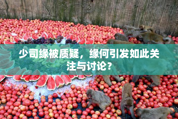 少司缘被质疑，缘何引发如此关注与讨论？