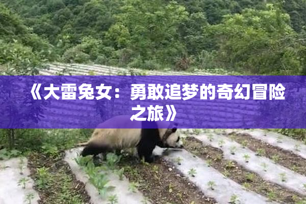 《大雷兔女：勇敢追梦的奇幻冒险之旅》