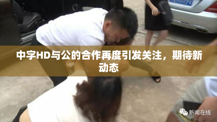 中字HD与公的合作再度引发关注，期待新动态