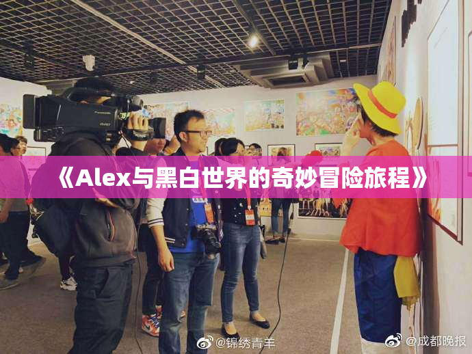 《Alex与黑白世界的奇妙冒险旅程》