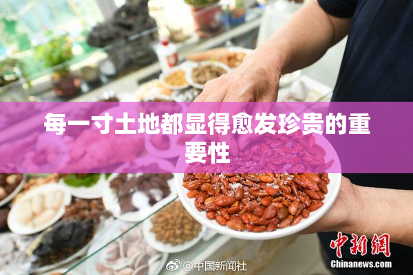 每一寸土地都显得愈发珍贵的重要性