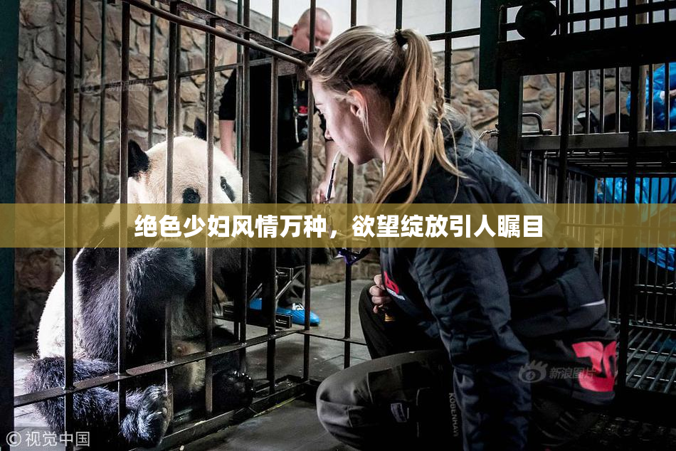 绝色少妇风情万种，欲望绽放引人瞩目