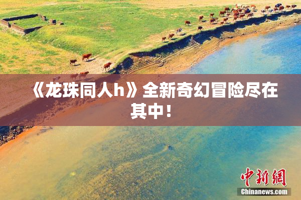 《龙珠同人h》全新奇幻冒险尽在其中！