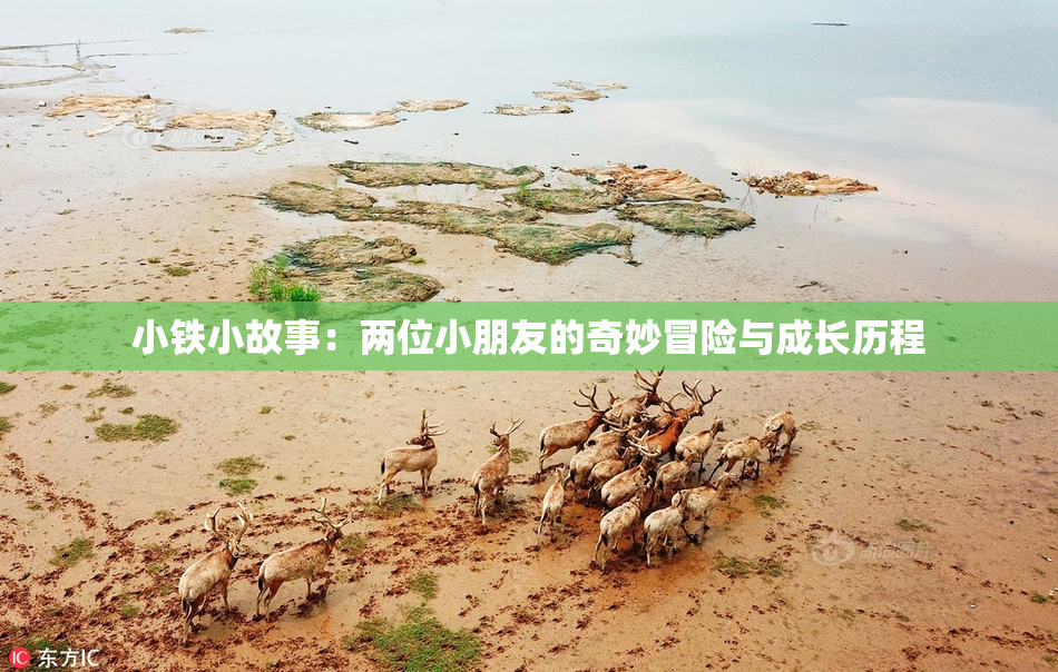 小铁小故事：两位小朋友的奇妙冒险与成长历程