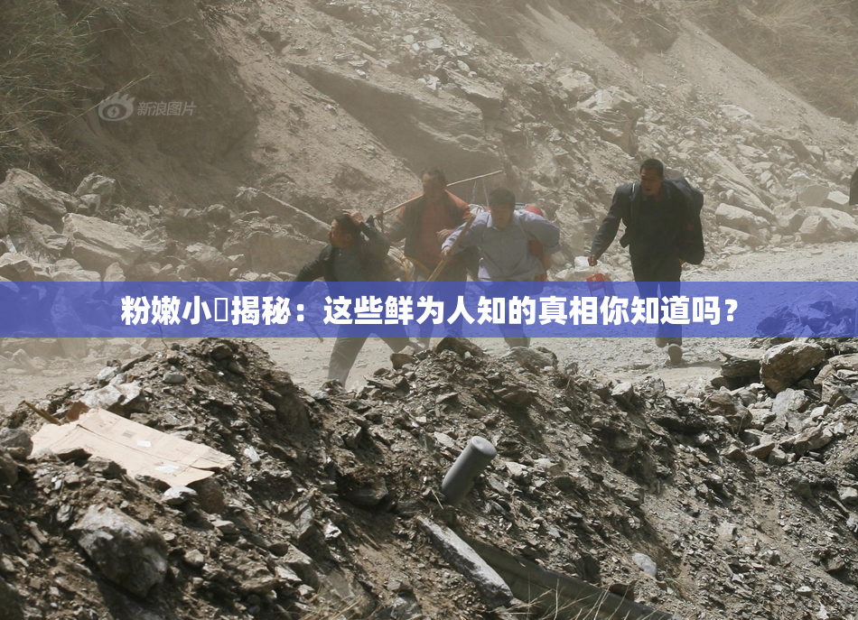 粉嫩小泬揭秘：这些鲜为人知的真相你知道吗？