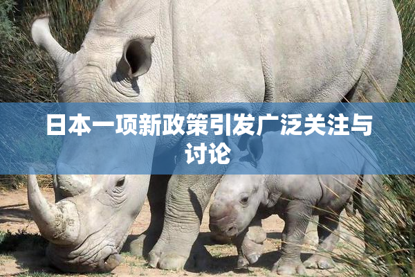 日本一项新政策引发广泛关注与讨论