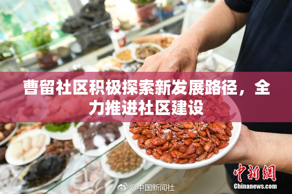曹留社区积极探索新发展路径，全力推进社区建设