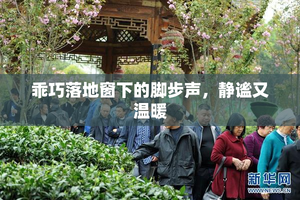 乖巧落地窗下的脚步声，静谧又温暖