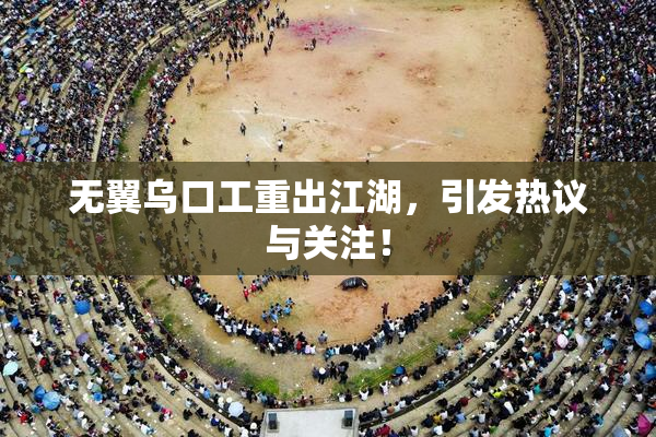 无翼乌口工重出江湖，引发热议与关注！
