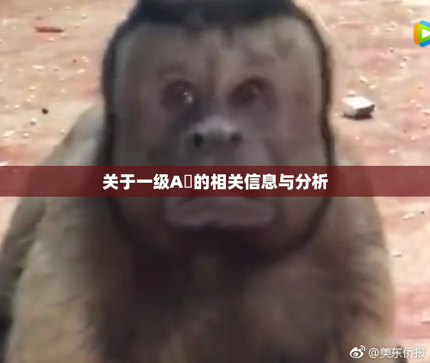 关于一级A婬的相关信息与分析