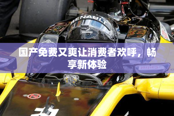 国产免费又爽让消费者欢呼，畅享新体验