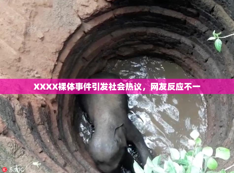 XXXX裸体事件引发社会热议，网友反应不一
