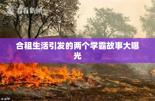 合租生活引发的两个学霸故事大曝光