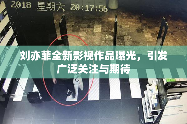 刘亦菲全新影视作品曝光，引发广泛关注与期待