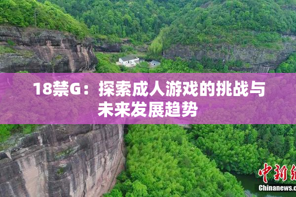 18禁G：探索成人游戏的挑战与未来发展趋势