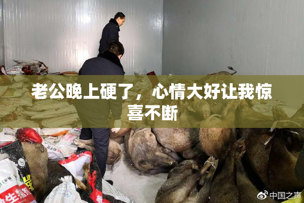 老公晚上硬了，心情大好让我惊喜不断