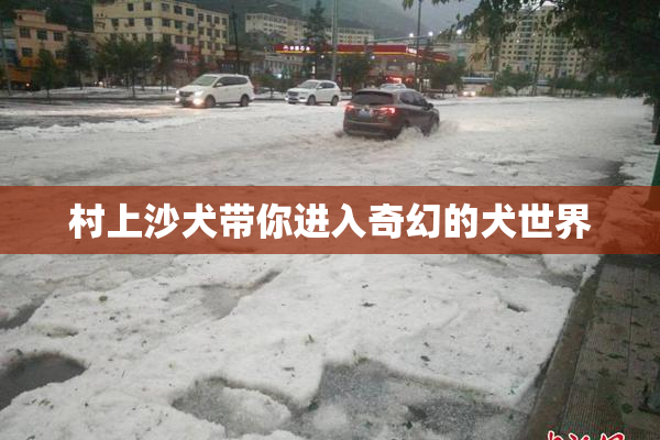 村上沙犬带你进入奇幻的犬世界