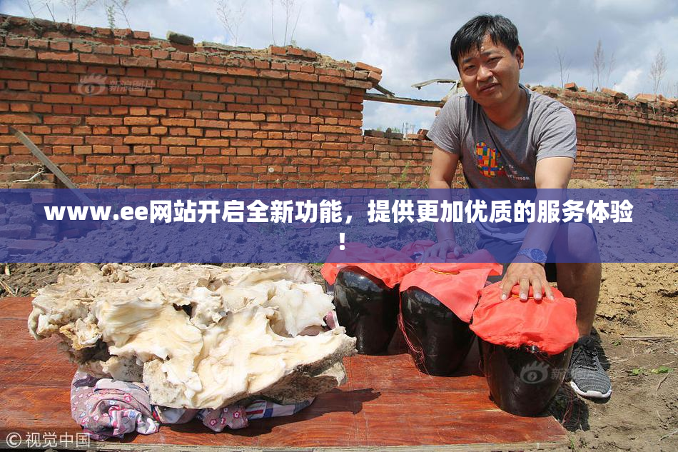 www.ee网站开启全新功能，提供更加优质的服务体验！