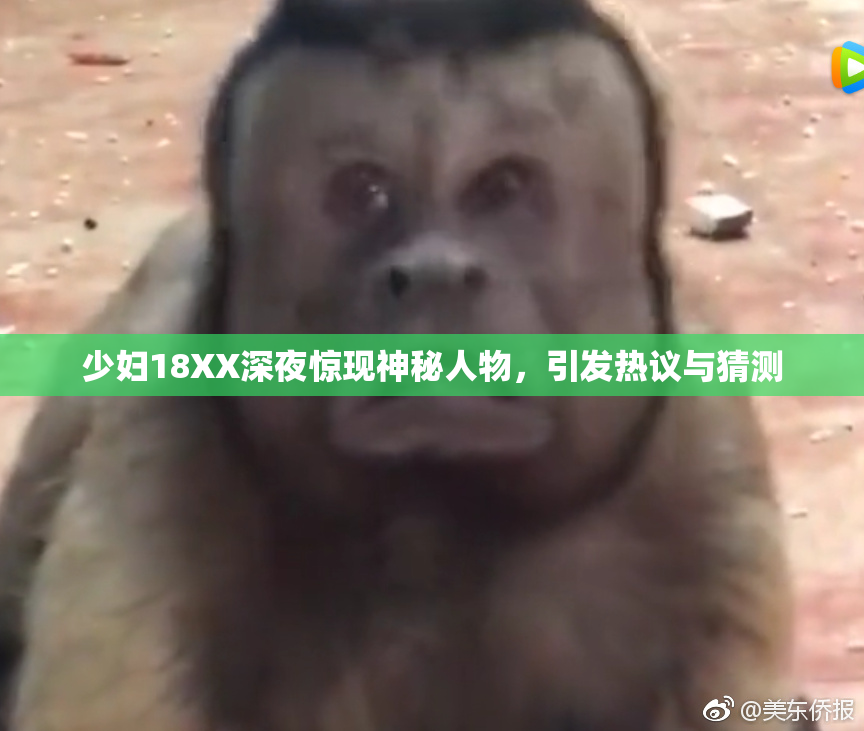 少妇18XX深夜惊现神秘人物，引发热议与猜测