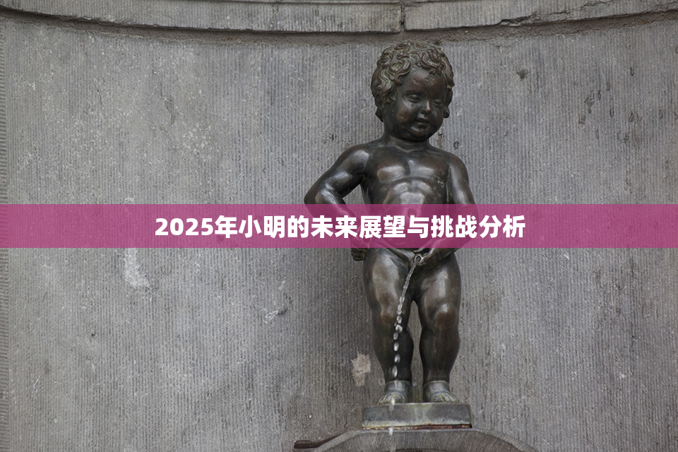 2025年小明的未来展望与挑战分析