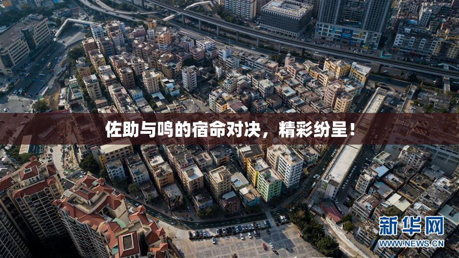 佐助与鸣的宿命对决，精彩纷呈！