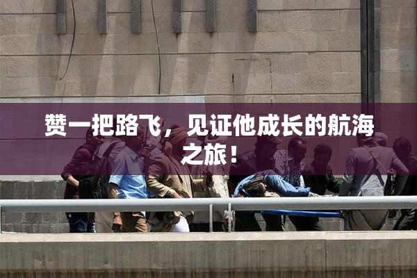 赞一把路飞，见证他成长的航海之旅！