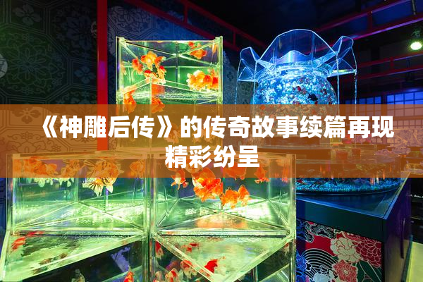《神雕后传》的传奇故事续篇再现精彩纷呈