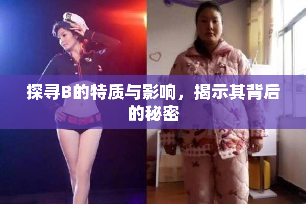 探寻B的特质与影响，揭示其背后的秘密