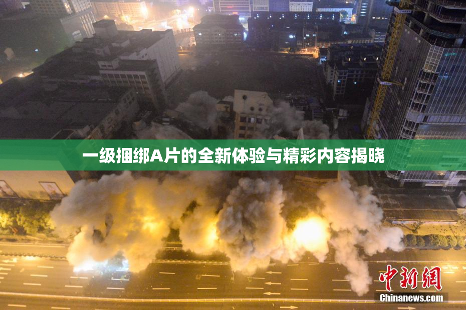 一级捆绑A片的全新体验与精彩内容揭晓