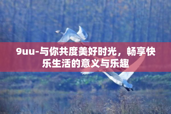 9uu-与你共度美好时光，畅享快乐生活的意义与乐趣
