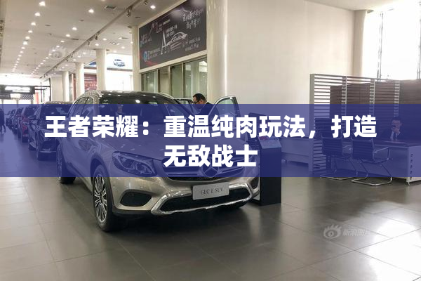 王者荣耀：重温纯肉玩法，打造无敌战士