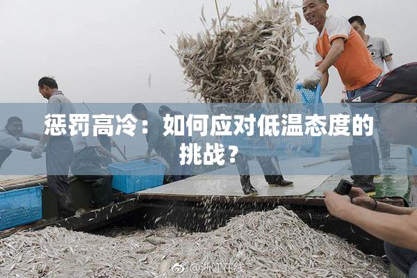 惩罚高冷：如何应对低温态度的挑战？