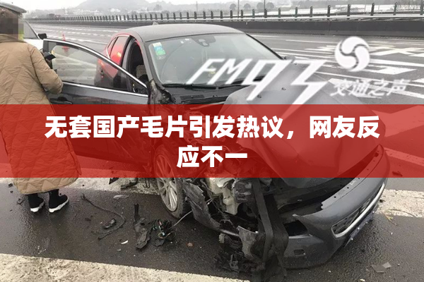 无套国产毛片引发热议，网友反应不一