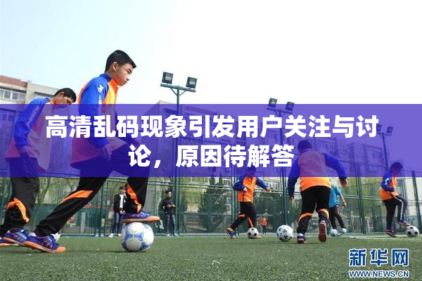 高清乱码现象引发用户关注与讨论，原因待解答